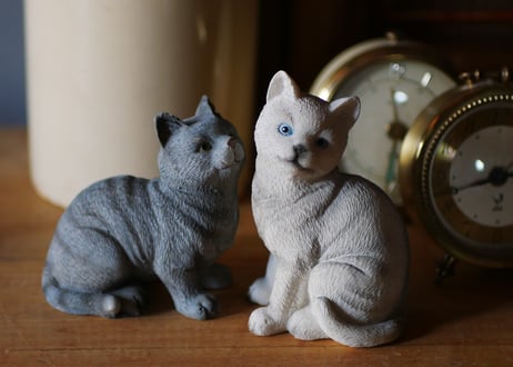 白い猫　Chat Blanc　フランスヴィンテージ　ブロカントのある暮らし