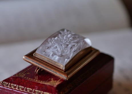 Lucite Brooch Edelwiss