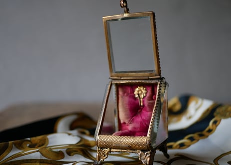 Beautiful case for watch