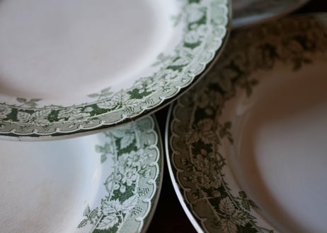 Botanical plate→4