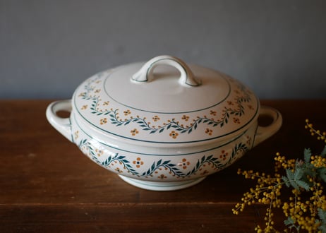 Légumier, mimosa