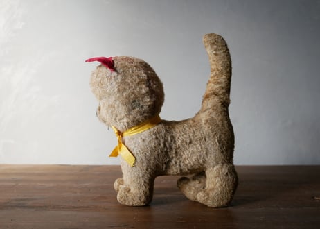 フランスアンティーク　子猫　シュタイフ