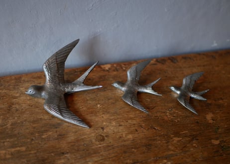 Pewter Swallows