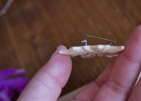 エーデルワイス　アンティークブローチ　ブロカントのある暮らし