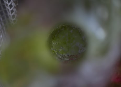 クリシー　花瓶　花器　イエローべース　フランスヴィンテージ　ブロカントのある暮らし