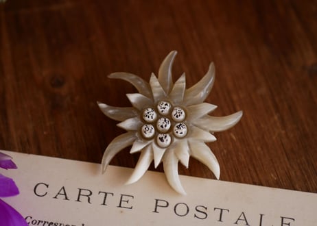 CATEGORY エーデルワイス | mamantique