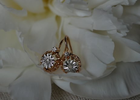FE-06 Natural Diamond K18 PG Earrings