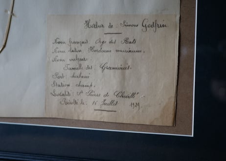 herbier no.7