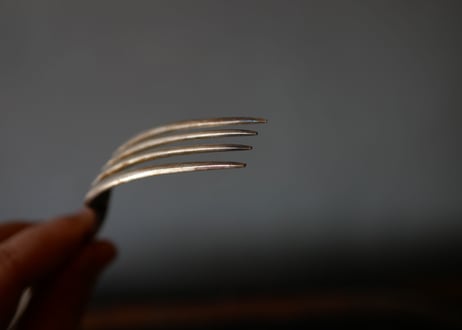 Iris , silver fork,  art nouveau