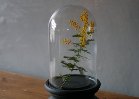 glass dome