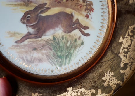 Rabbit, LIMOGES