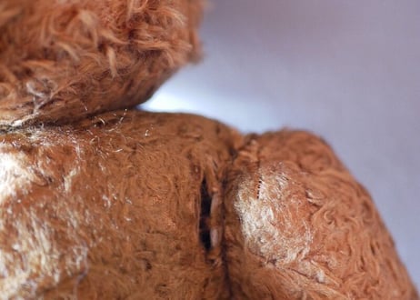 Teddy Bear from England
