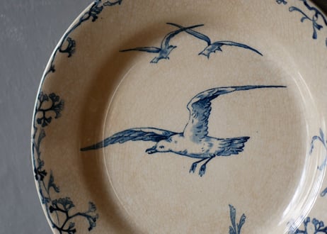 plate B, seagulls