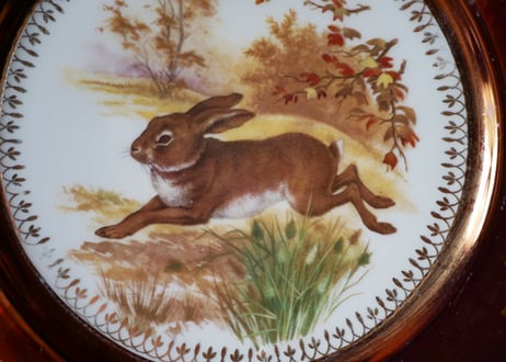 Rabbit, LIMOGES