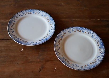 ２ creil et monterea plate