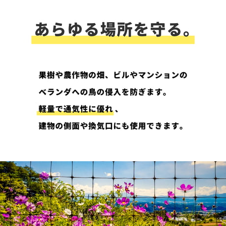 バードネット（代引き不可）