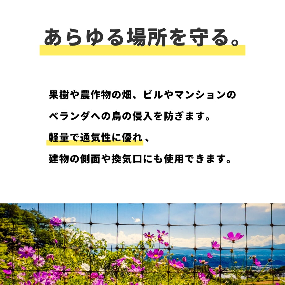 6538712acc85d00043105921