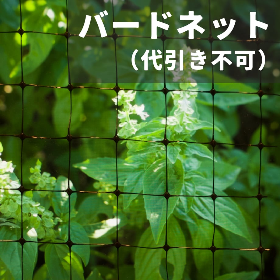 6538712acc85d00043105921