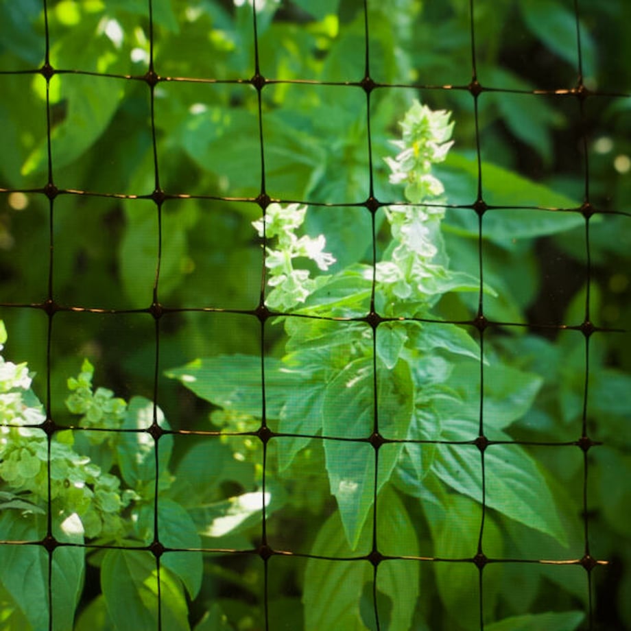 6538712acc85d00043105921