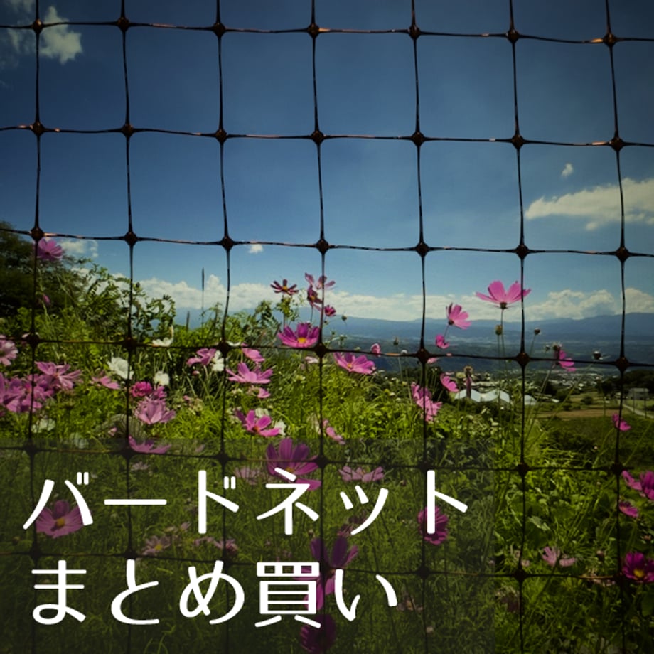 65389b2c13b903002a435df3