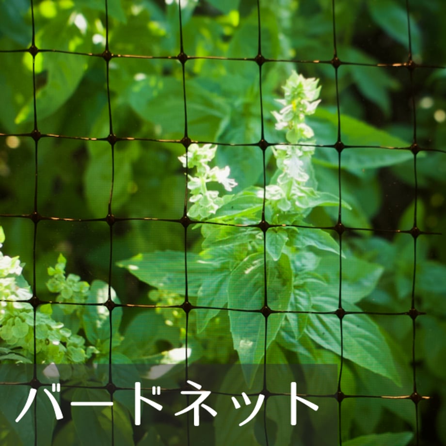 6538712acc85d00043105921