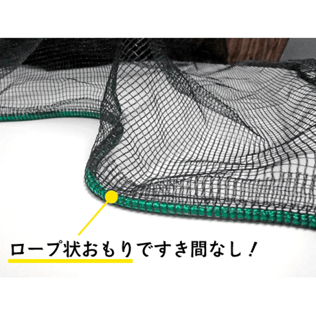 カラスネット ブルー 3×4m