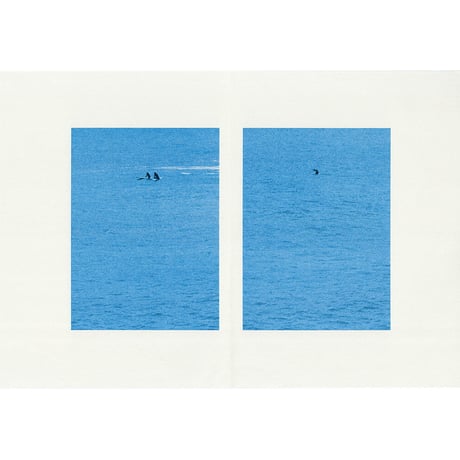 The coldest day of my life  /  Lee Cha Ryoung