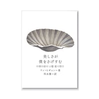 美しさが僕をさげすむ / ウン・ヒギョン