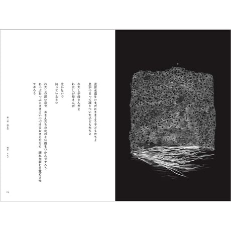 《詩集》海女たち／ 愛を抱かずしてどうして海に入られようか