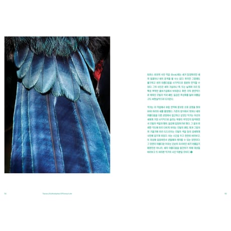 VOSTOK vol.36 / BIRDSONG