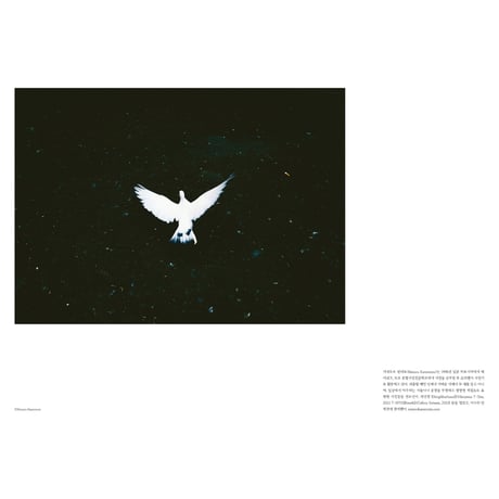 VOSTOK vol.41 / 光と色