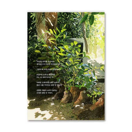 夏の中で　여름 안에서  /  ソン・ユル   성률