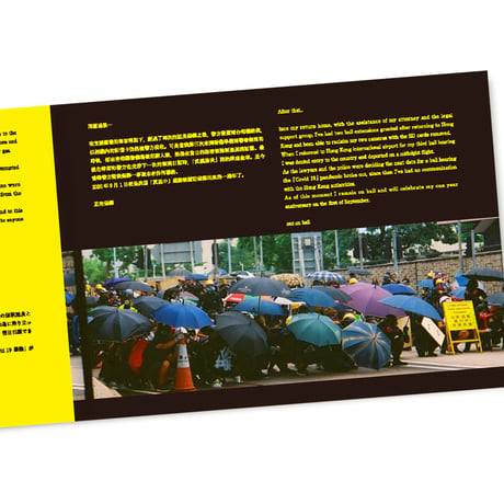 HONG KONG POLITICAL GRAFFITI & BUFF  　2019年夏 香港民主化デモ 逮捕された記録