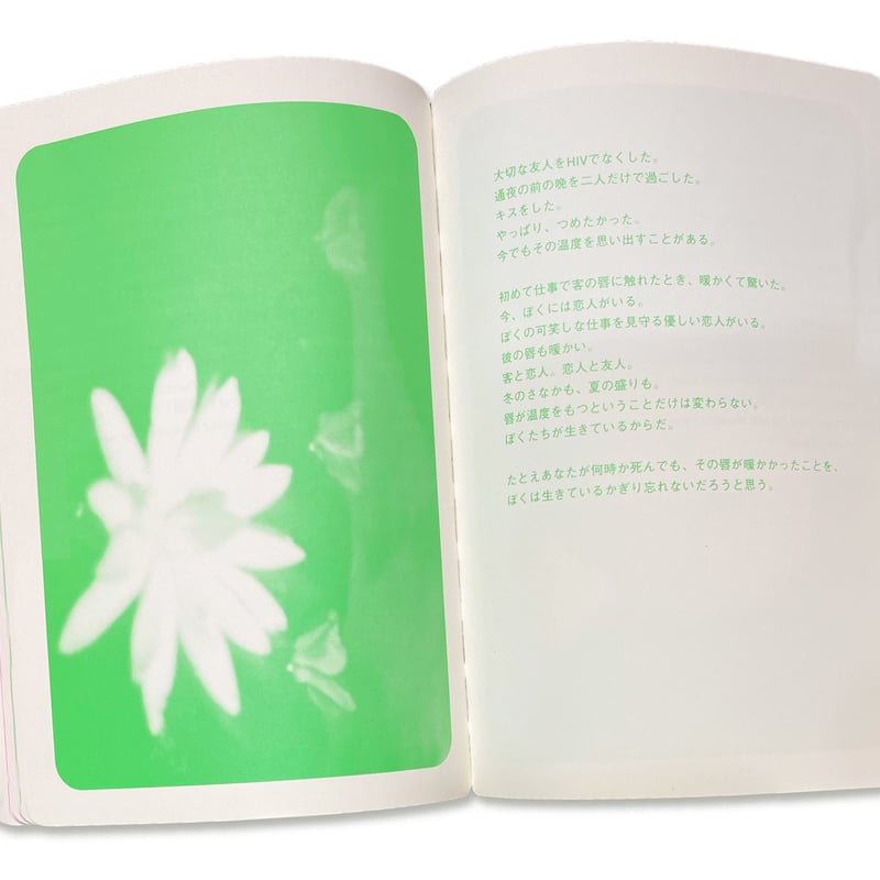 売男日記 A Whore Diary / アキラ・ザ・ハスラー Akira The Hu