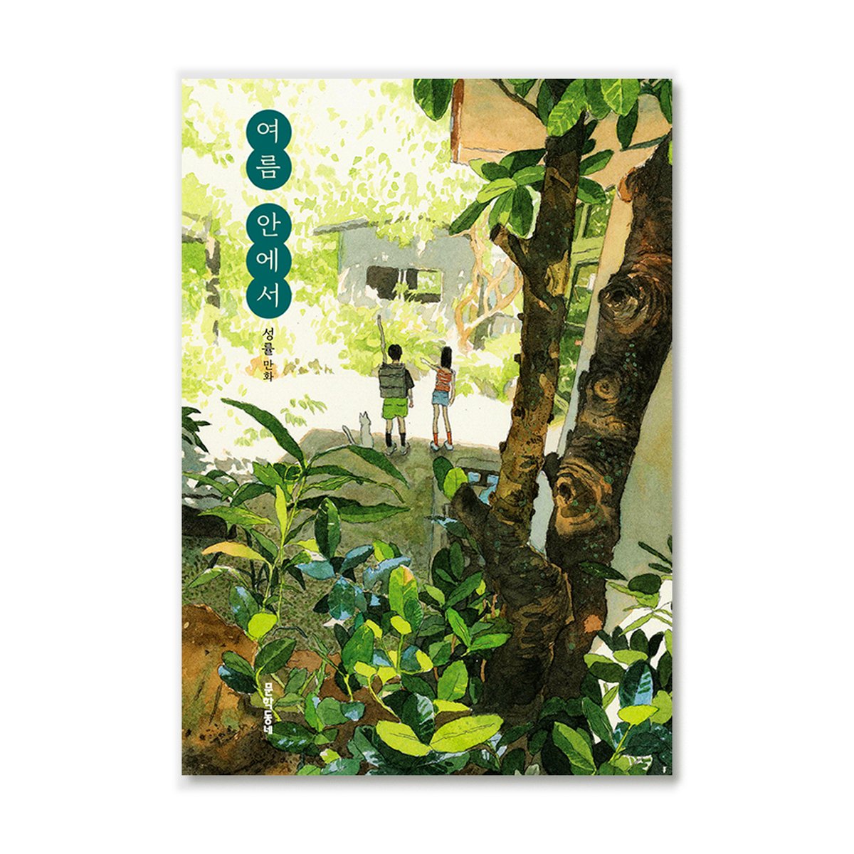 성률 『여름 안에서』 韓国水彩画家絵本漫画 성률 『여름 안에서』 韓国水彩画家絵本漫画