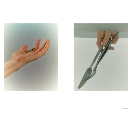 VOSTOK vol.41 / 光と色