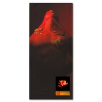 金閣 / Shengzhe