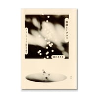 物語とトラウマ 　クィア・フェミニズム批評の可能性  /  岩川ありさ