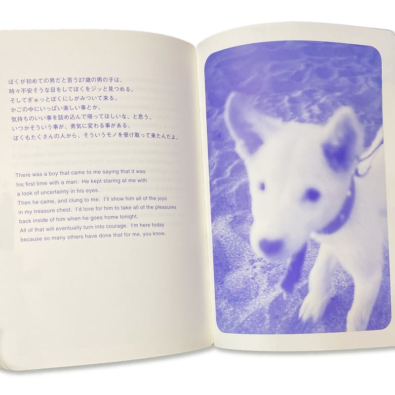 売男日記 A Whore Diary / アキラ・ザ・ハスラー Akira The Hu