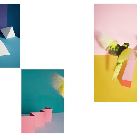 VOSTOK vol.36 / BIRDSONG