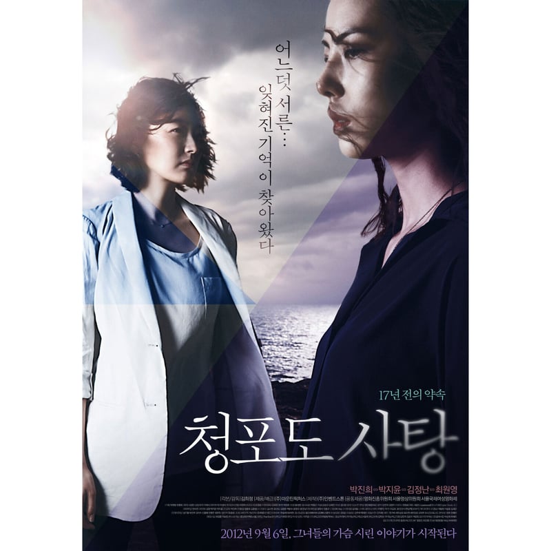 洋書 Chinese Lesbian Cinema Chinese Lesbian Cinema | 9780739188477