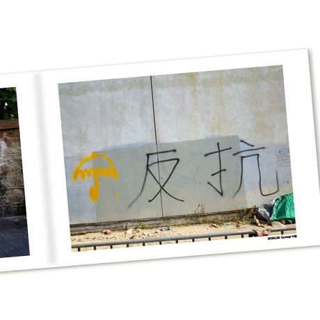 HONG KONG POLITICAL GRAFFITI & BUFF  　2019年夏 香港民主化デモ 逮捕された記録
