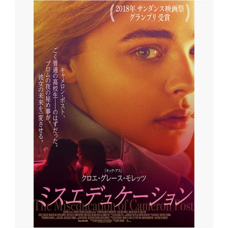 ミスエデュケーション   The Miseducation of Cameron Post  /  エミリー・M・ダンフォース