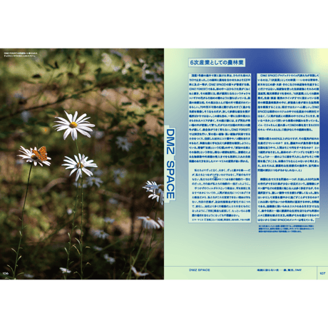 YOKOKU Field Notes #02 韓国：勝ち敗けのあわい