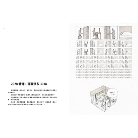 被消失的香港 THE FALLEN CITY HONG KONG  /  柳廣成