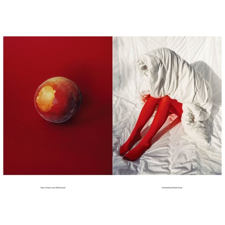 VOSTOK vol.38 / Still Life：私の小さな世界は