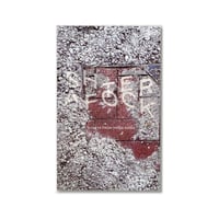 AFTER SHOCK  -Essays from Hong Kong