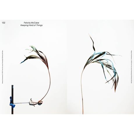 VOSTOK vol.38 / Still Life：私の小さな世界は