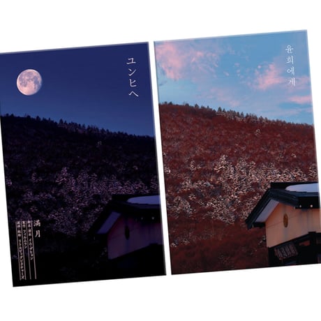 映画『ユンヒへ 　윤희에게　Moonlit Winter』DVD（初回限定版）