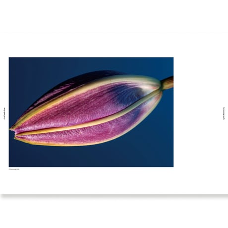 VOSTOK vol.24 / night・flower・me   밤·꽃·나